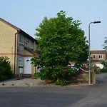 Holt Bristol