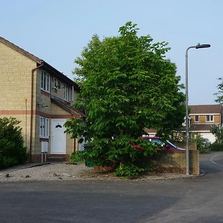 Holt Bristol